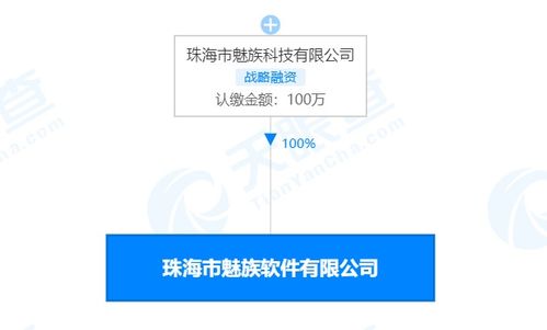 珠海市魅族軟件注銷 解讀其在計算機網絡及軟件技術開發領域的轉型與影響
